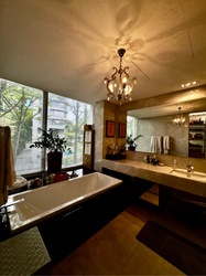 St. Regis Residences (D10), Apartment #538987431